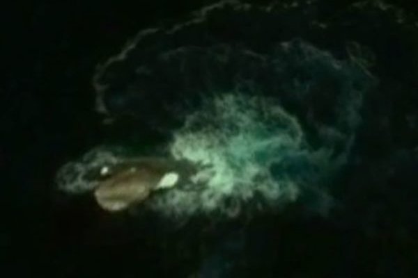 Что такое кракен только через тор