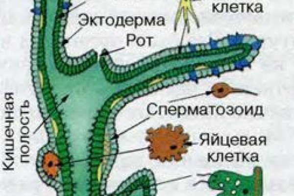 Как зайти на маркетплейс кракен