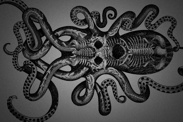 Kraken 15 at